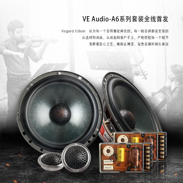 威格二分频套装喇叭A6.2
